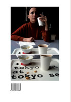 Dämmerung. Das Jahr 1933