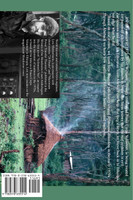 Solomon's Net