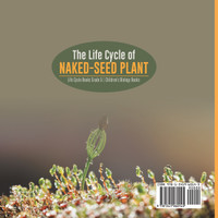 The Life Cycle of Naked-Seed Plant | Life Cycle Books Grade 5 | Children's Biology Books