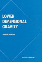 Lower Dimensional Gravity