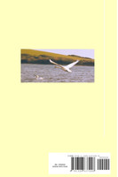 White Wings Over The Lake