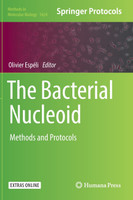 The Bacterial Nucleoid
