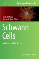 Schwann Cells