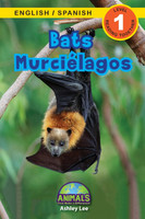 Bats / Murciélagos
