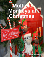 Multiple Monkeys at Christmas