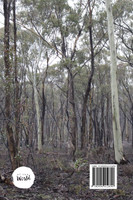 Artist Spaces Of The Victorian Goldfields