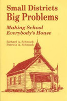 Small Districts, Big Problems