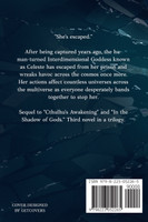 When Your Reality Cracks