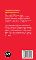 Capitalist China and socialist revolution