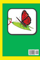 Flutterbye Flits, Floats, and Flies