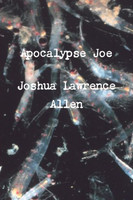 Apocalypse Joe