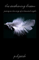 THE AWAKENING DREAM - Journey on the Wings of a Thousand Angels