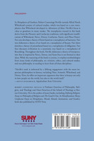 Metaphysics of Goodness