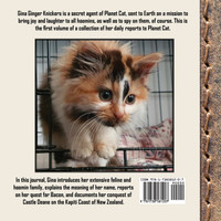 The Journal of Agent Gina Ginger Knickers, Phase One