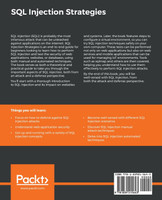 SQL Injection Strategies