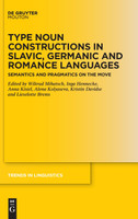 Type Noun Constructions in Slavic, Germanic and Romance Languages