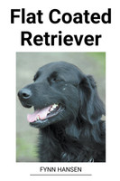 Flat Coated Retriever