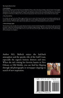 Devecheaux Antiques and Haunted Things