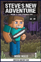 Steve's New Adventure Book 1