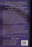 Intuition of a Midlife Witch