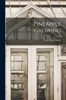 Pineapple Growing