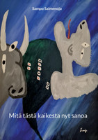 Mitä tästä kaikesta nyt sanoa
