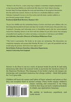 Summer in the Forest