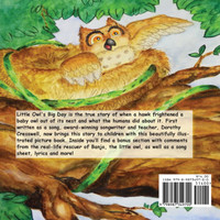 Little Owl's Big Day