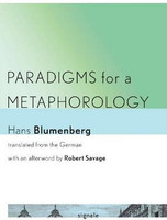 Paradigms for a Metaphorology