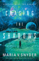 Chasing The Shadows