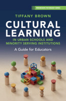 Cultural Learning in Urban Schools and Minority Serving Institutions