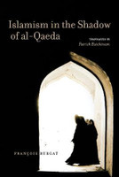 Islamism in the Shadow of al-Qaeda