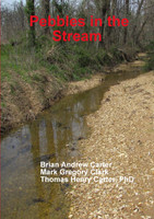 Pebbles in the Stream