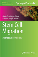 Stem Cell Migration