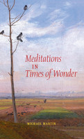 Meditations in Times of Wonder