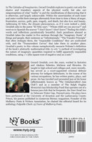 The Calculus of Imaginaries