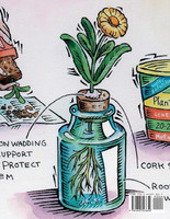 Turning an old Mattress into fresh Marijuana