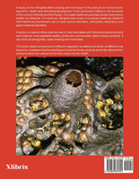 Stingless Bees' Impact on Human Health & Uses in Traditional Remedies