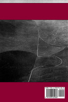 They Called it Purple Heart Valley