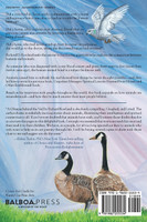 A Glimpse Behind the Veil