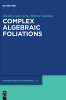Complex Algebraic Foliations