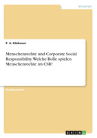 Menschenrechte und Corporate Social Responsibility. Welche Rolle spielen Menschenrechte im CSR?
