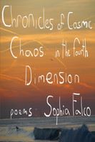 Chronicles of Cosmic Chaos in The Fourth Dimension