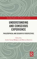 Understanding and Conscious Experience