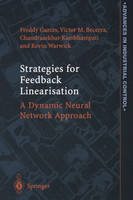 Strategies for Feedback Linearisation