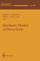 Stochastic Models in Geosystems