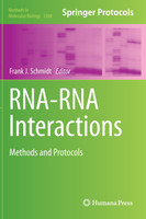 RNA-RNA Interactions