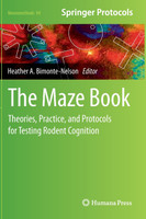The Maze Book