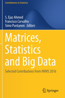 Matrices, Statistics and Big Data