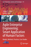 Agile Enterprise Engineering